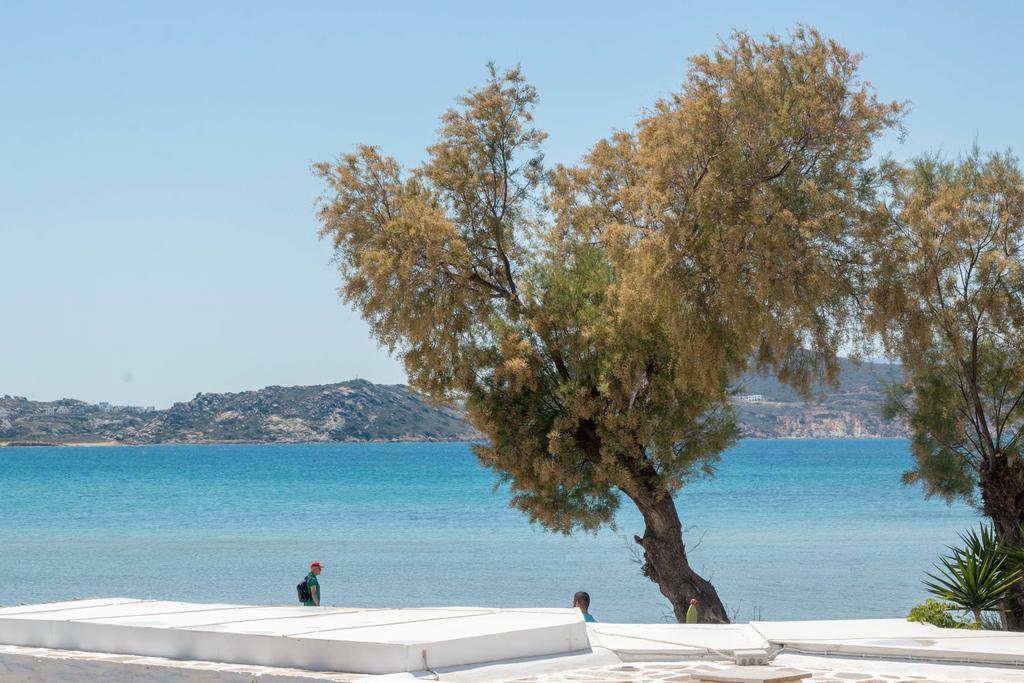 Thomais Studios Naxos City Exterior foto